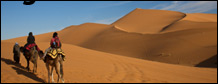 Sahara