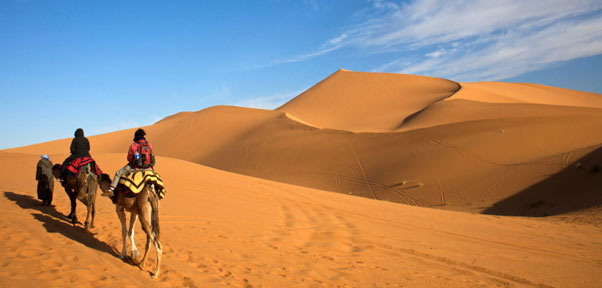 Le Sahara